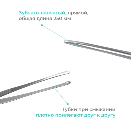 Пинцет хирургический зубчато-лапчатый, прямой, 250 мм, Apexmed